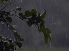 [경훈시윤] 梅雨(매우)