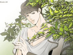 [월계수 가지 사이로]