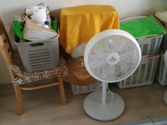 브베의 일상 - 나무 가구들아 그동안 고생이 많았다