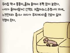 숨공이의 쇼파 3