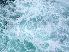 [청려건우]告解聖事:고해성사