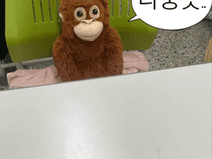 영암이 - 백귀야행