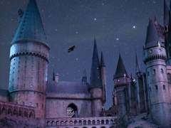 호그와트X비밀의 숲 각종 크오 ep.1