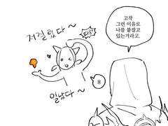 엘리코나 백업 (살아남은 캐해석)