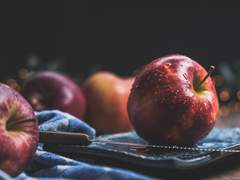 이기의의미를알고계십니까?