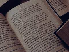 아메 | XY | 포트마피아