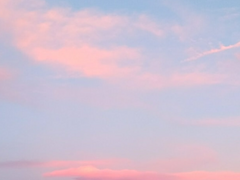 녹색 구두 아가씨