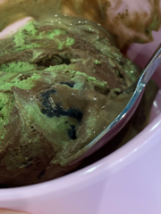 연상연하의 연애일지