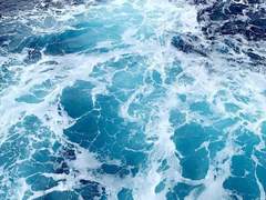 희망 없는 미래를 자랑해 보이며 추억을 버리지 않기를