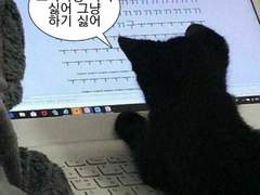 [NCT] 햇병아리 대표의 일기