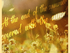 꽃노을 덮인 여름 끝자락