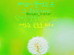 마음충전 배경화면_위로