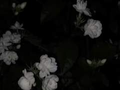 20230421. 우서안 사망신고서 첨부.pdf