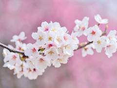 23M-RFT01(이봄혜)