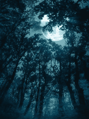 [자작쿠키 스토리] 푸른 야수룡과 흑조 인형