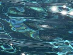 시시한 청춘에 품은 마음