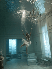 류 온 & 세일린 B. 루아르