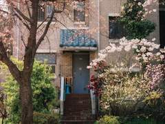 론리 블루 플래닛 8