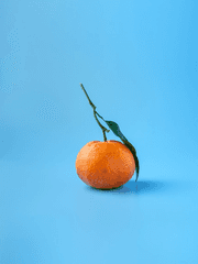 오렌지를 가장 맛있게 먹는 방법