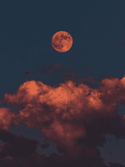 특별한 사랑 이야기