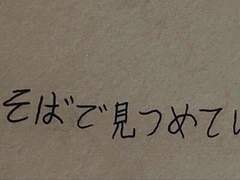 노을을 등지던 여름