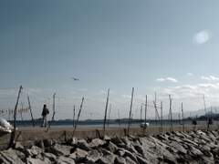 부둣가의 풍경을 기억하는 건 1