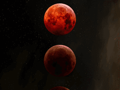 <너의 피를 줘> 1%-첫번째 피 후원자