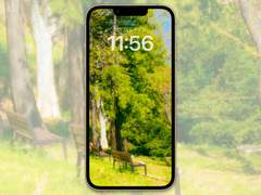 [무료 배경화면]forest_03