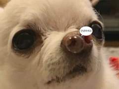 악인 18명의 문단속 9 탈덕한 머글의 입덕 정거장 (3)