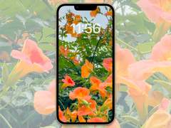 [배경화면]summer_01