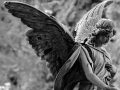 너 만은 찬란하게 빛나기를