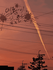 여름이 죽은 날