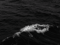 [이누야샤] 惡意(악의) 5장