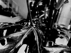 잃어버린 가이드 N