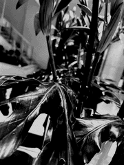 잃어버린 가이드