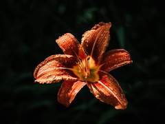 우린 각자의 자리에서 빛날 테니까.