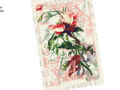 포토카드 뒷면 디자인 커미션 작업물