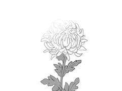 죠사라 - End of Joe