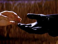 [레이디버그 아드마리] 신부의 탄생