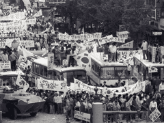 철범해일 / 순명 39