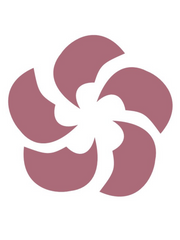 매화나무는 여전히 그 자리에