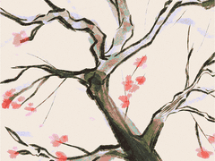 밤하늘은 별로 가득하니,