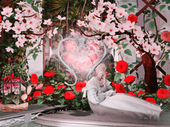 집주인은 누구인가요?