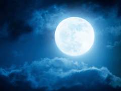 구원자: 새로운 인연