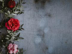 오메가의 권력 11