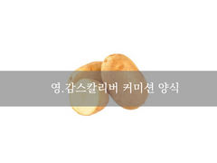 🥔영.감 커미션 양식