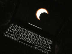 패러다이스 조직물_INTRO