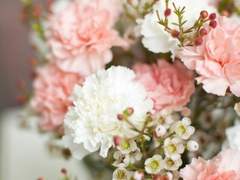 𝓒𝓪𝓻𝓷𝓪𝓽𝓲𝓸𝓷.