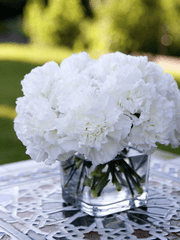 나의 유일무이한 구원자.