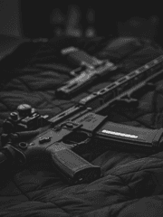 패러다이스 조직물